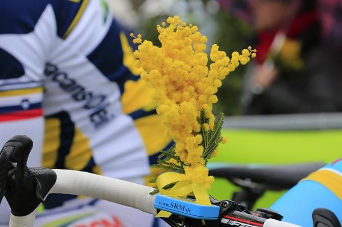A little decoration on that SRM