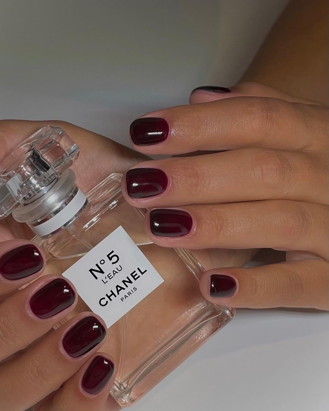 Harriet Westmoreland with short red nails holding a bottle of Chanel No5 L&#039;eau perfume