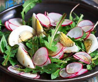 Dandelion leaves adding taste to a summer salad