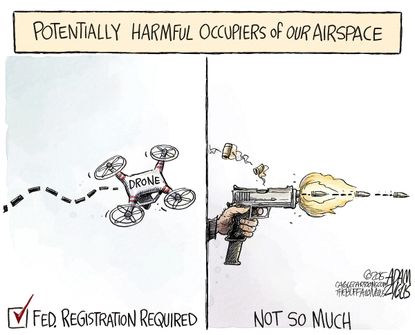 Editorial cartoon U.S. Drone Gun Regulation