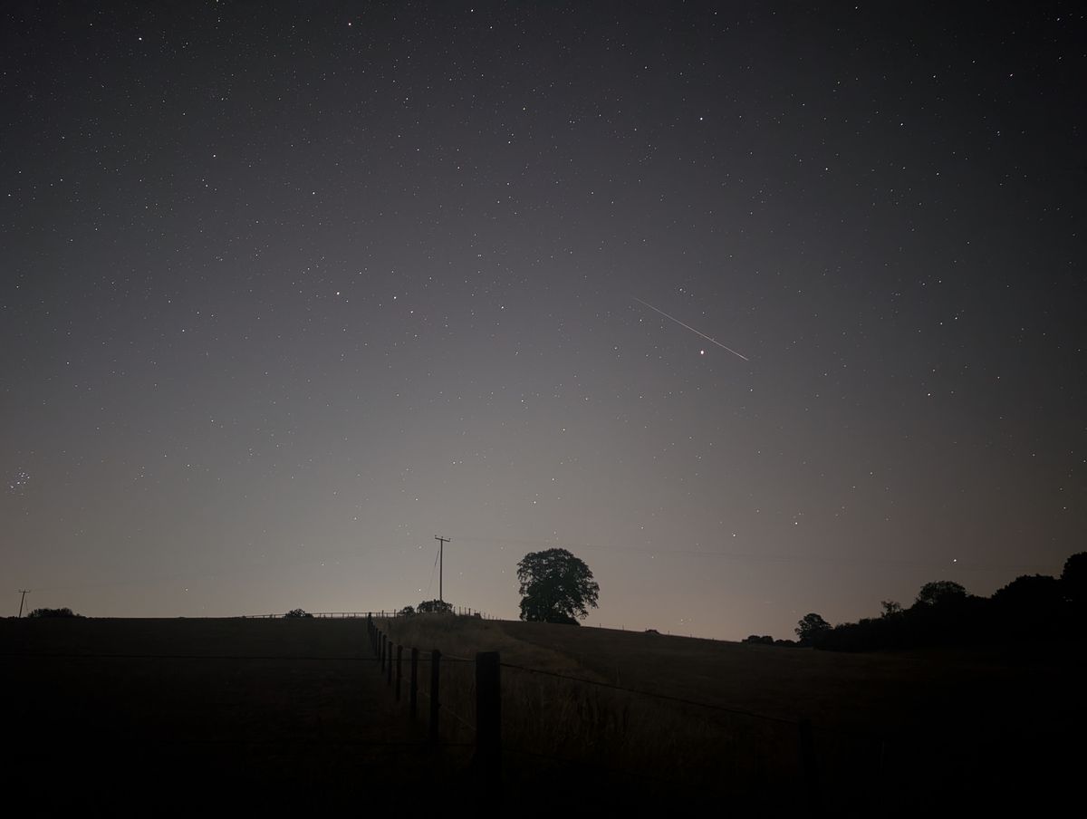 Meteor and plane trails across a clear night sky during the Perseid Meteor Shower 2026, framed by tree silhouettes and the horizon