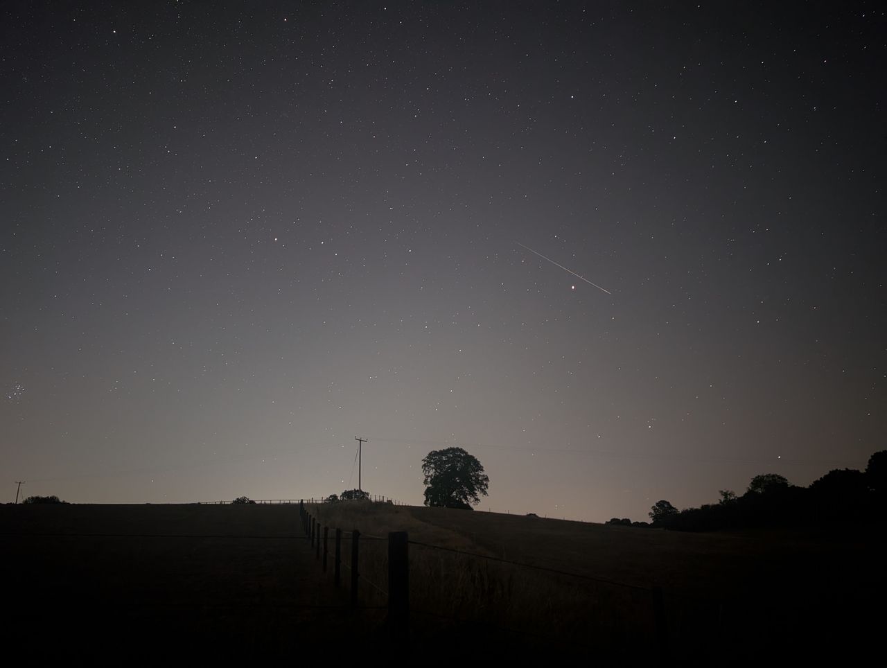 Meteor and plane trails across a clear night sky during the Perseid Meteor Shower 2026, framed by tree silhouettes and the horizon