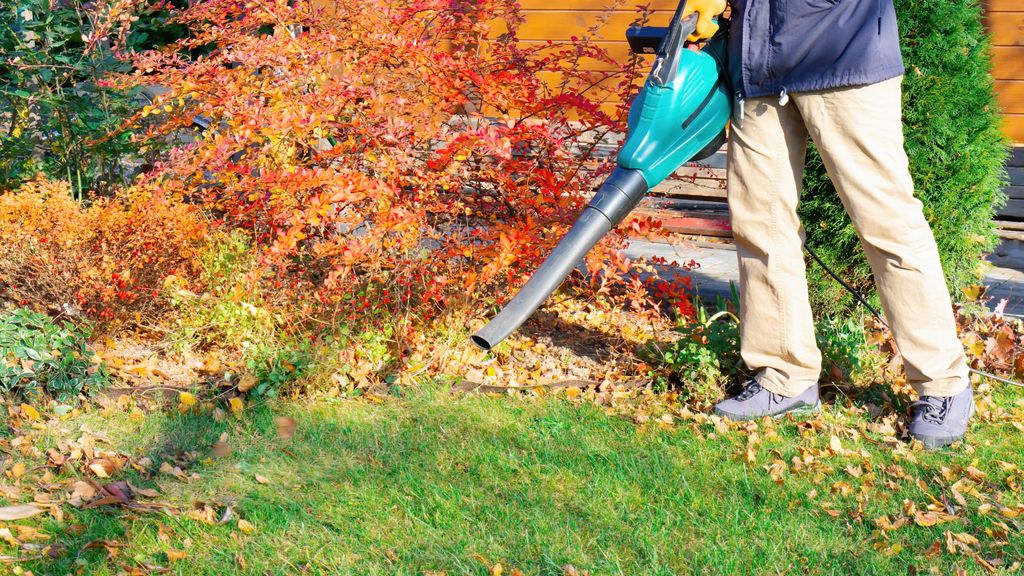 How to use a leaf blower the right way — 7 top tips for cleaning your ...