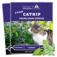 NatureZ Edge Catnip Seeds