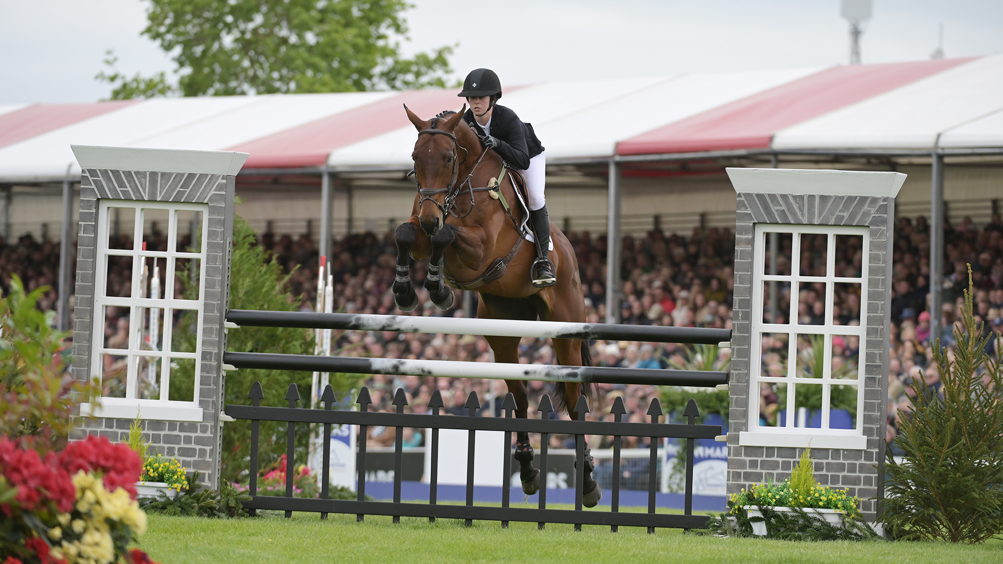 Tayla Mason and Centennial jump a showjump at Badminton Horse Trials 2026.