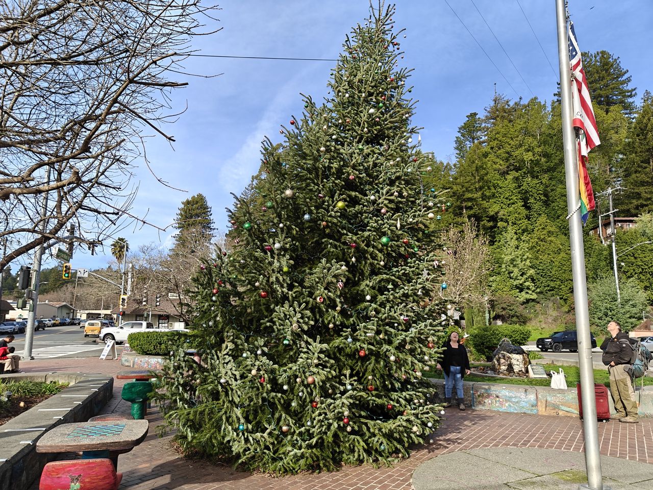 Christmas tree photo by OnePlus 13R