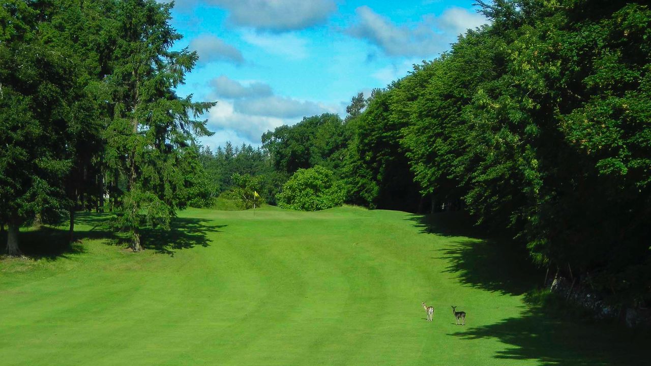 Portumna Golf Club - 16th hole