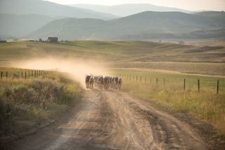 SBT GRVL 2021, a 144 mile gravel race starting and finishing in Steamboat Springs
