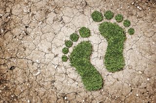 Abstract image showing a pair of green footprints on a dry, broken earth, to represent sustainability