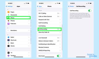 Making sure record phone calls is turned on in the Settings app