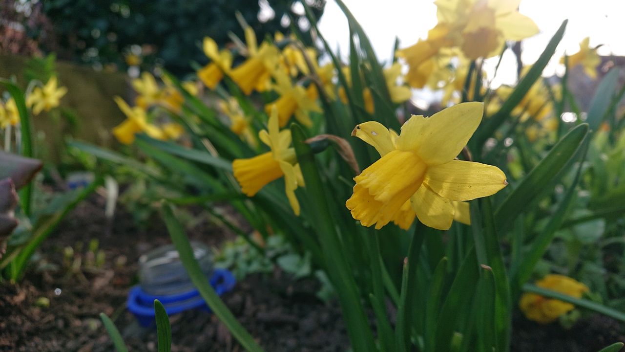 The f/2.0 lens has fairly nice-looking natural bokeh