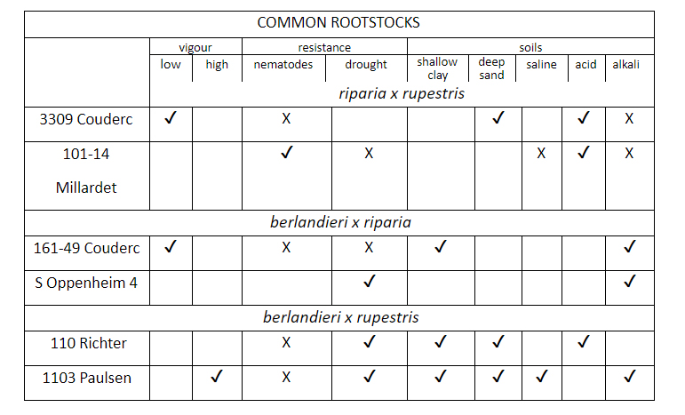 Rootstocks-Table.jpg