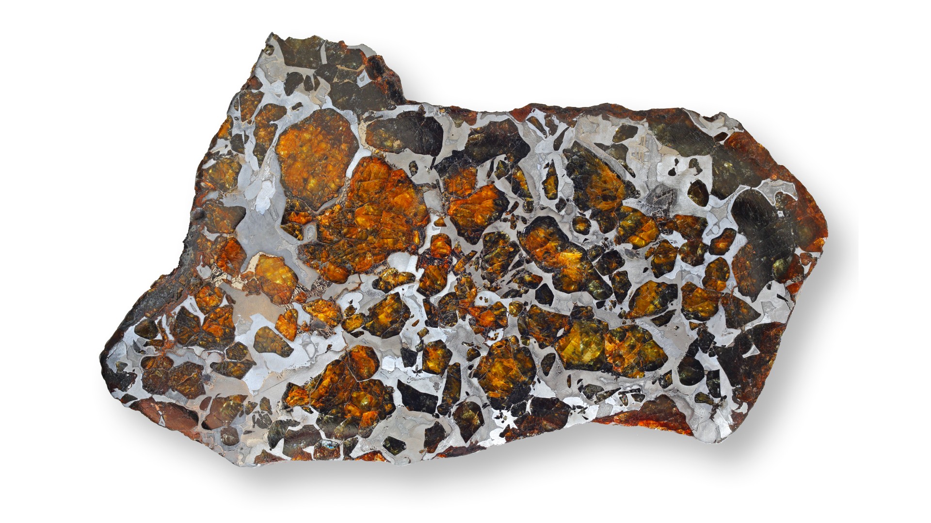 Stone-iron meteorite (Pallasit) with Olivinen and visible Widmanstaetten figures. Size: 15 cm. It has lots of amber colored flecks surrounde by black and then white.