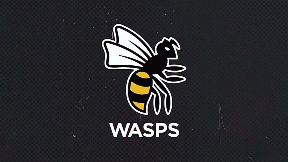 wasps rugby shop