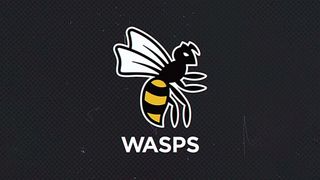 Wasps logo