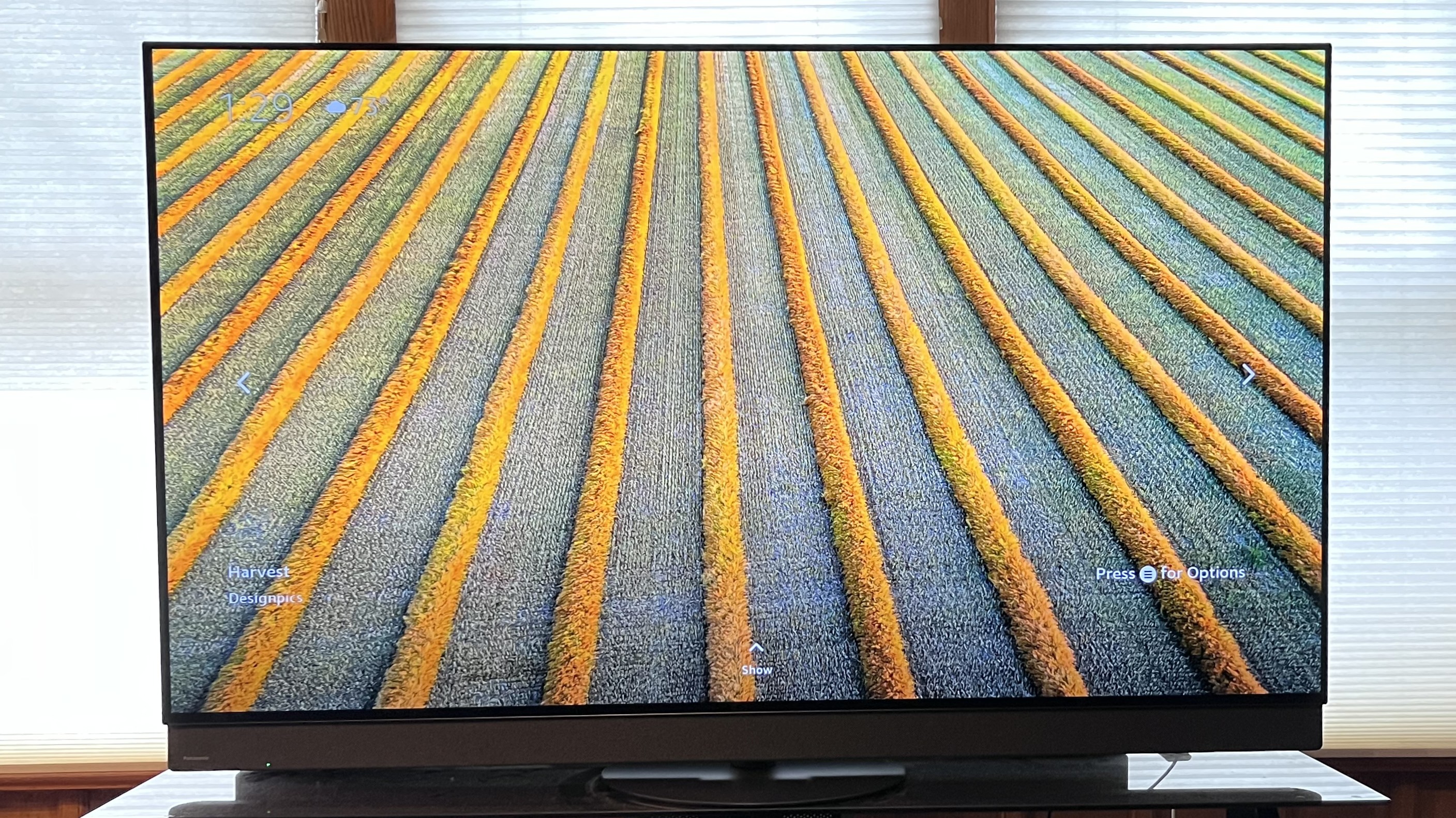 Panasonic z95b showing image of field