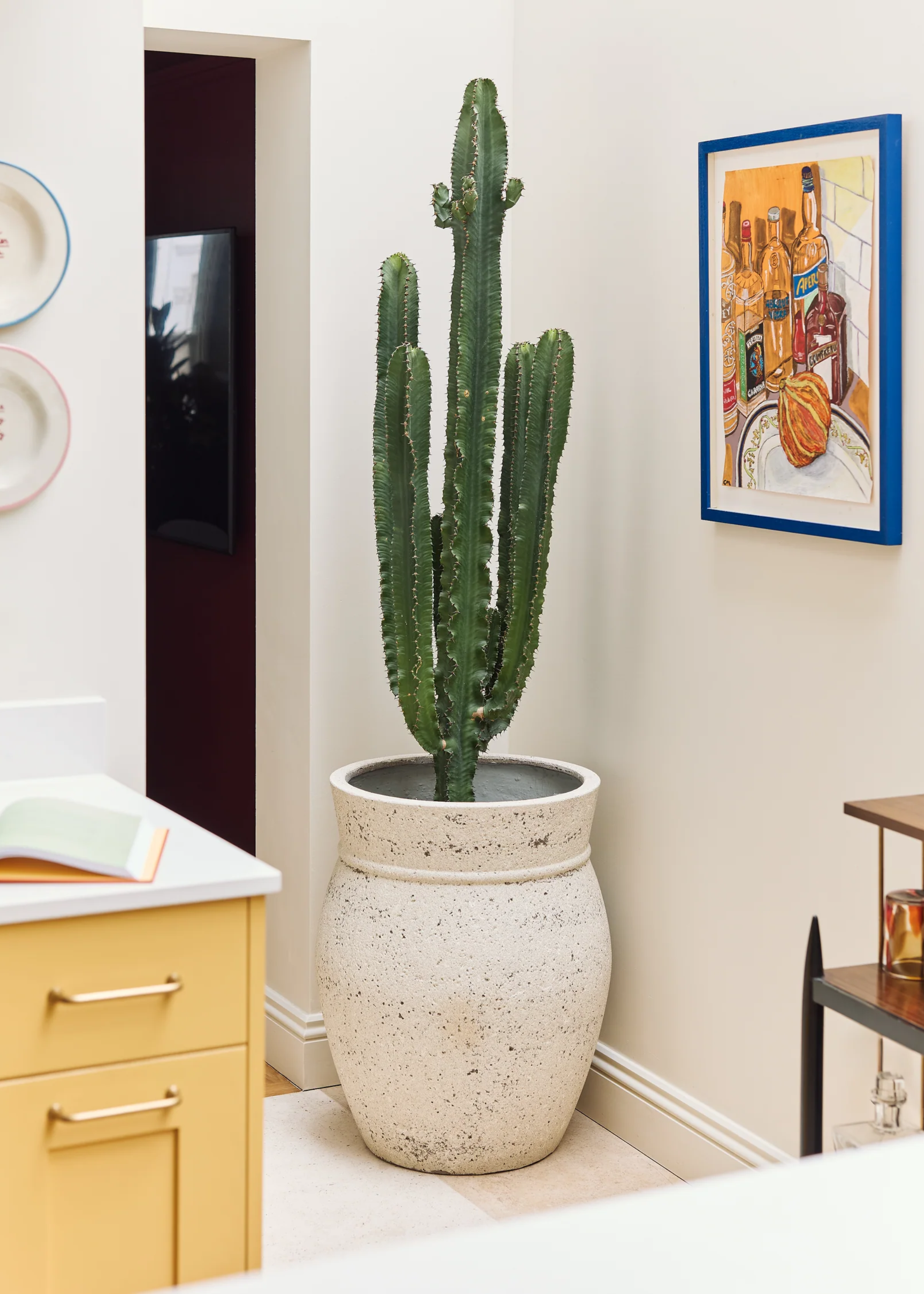 A potted desert cactus in an aged planter by a framed colorful painting and wall plates in a kitchen