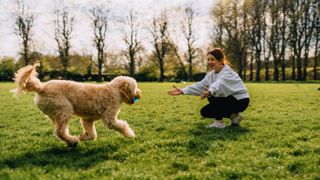 Woman playing fetch with her dog in the park