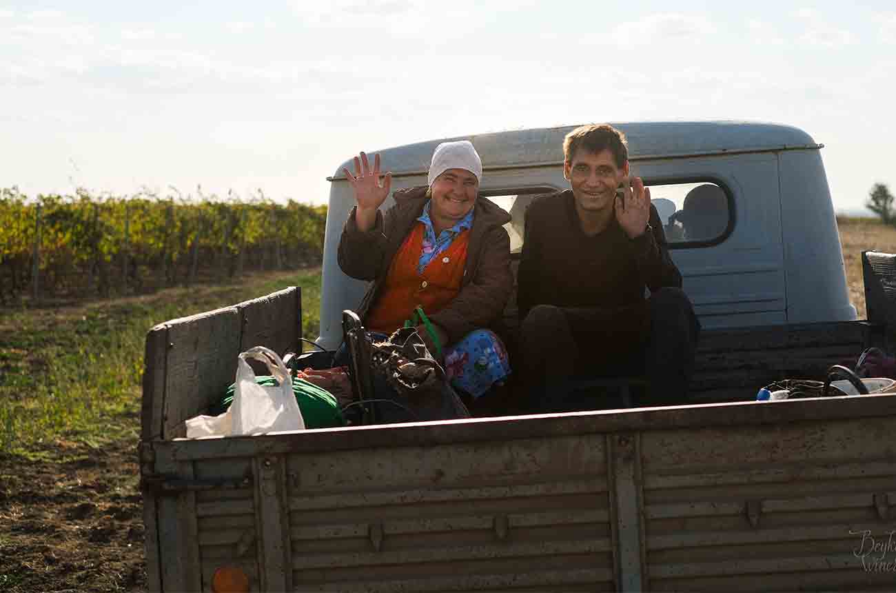 Grape pickers at Beykush Winery in Ukraine.