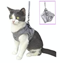 Anlitent Lightweight Non-Pull Harness and Leash Set | was £9.99, now £7.99, save 20%, Amazon
