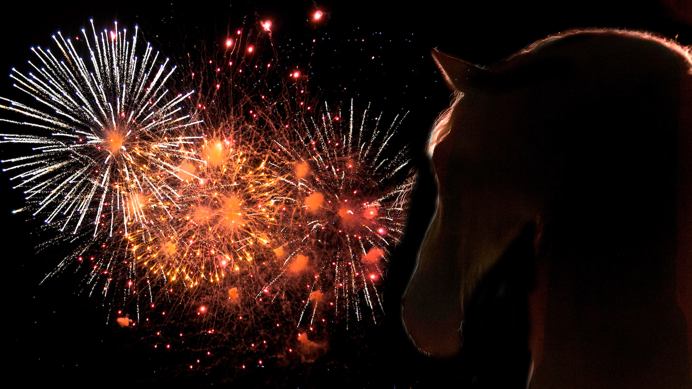 MPs have been invited to an event to discuss changes to fireworks regulations.