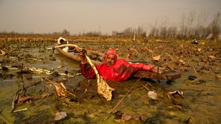 A farmer