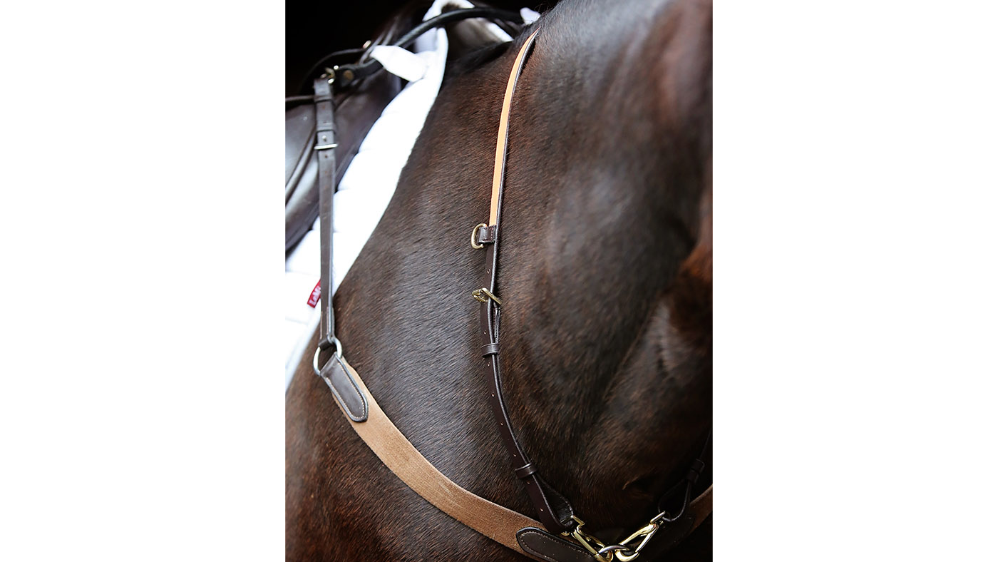 Salute Equestrian hi-viz click &amp;amp; connect neck strap ultimate set hi viz for horses