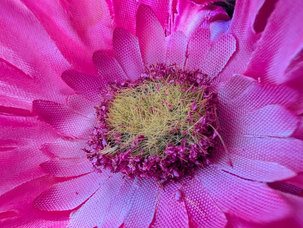 Google Pixel 9 Pro XL macro sample.