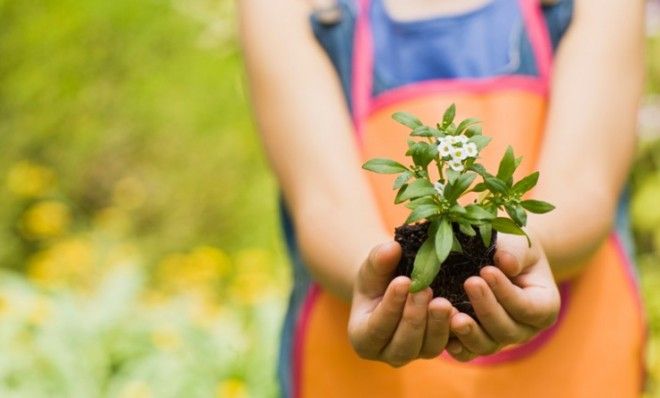 Many traditional religions believe plants posses souls.