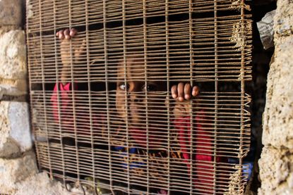 A Yemeni child waits for food.