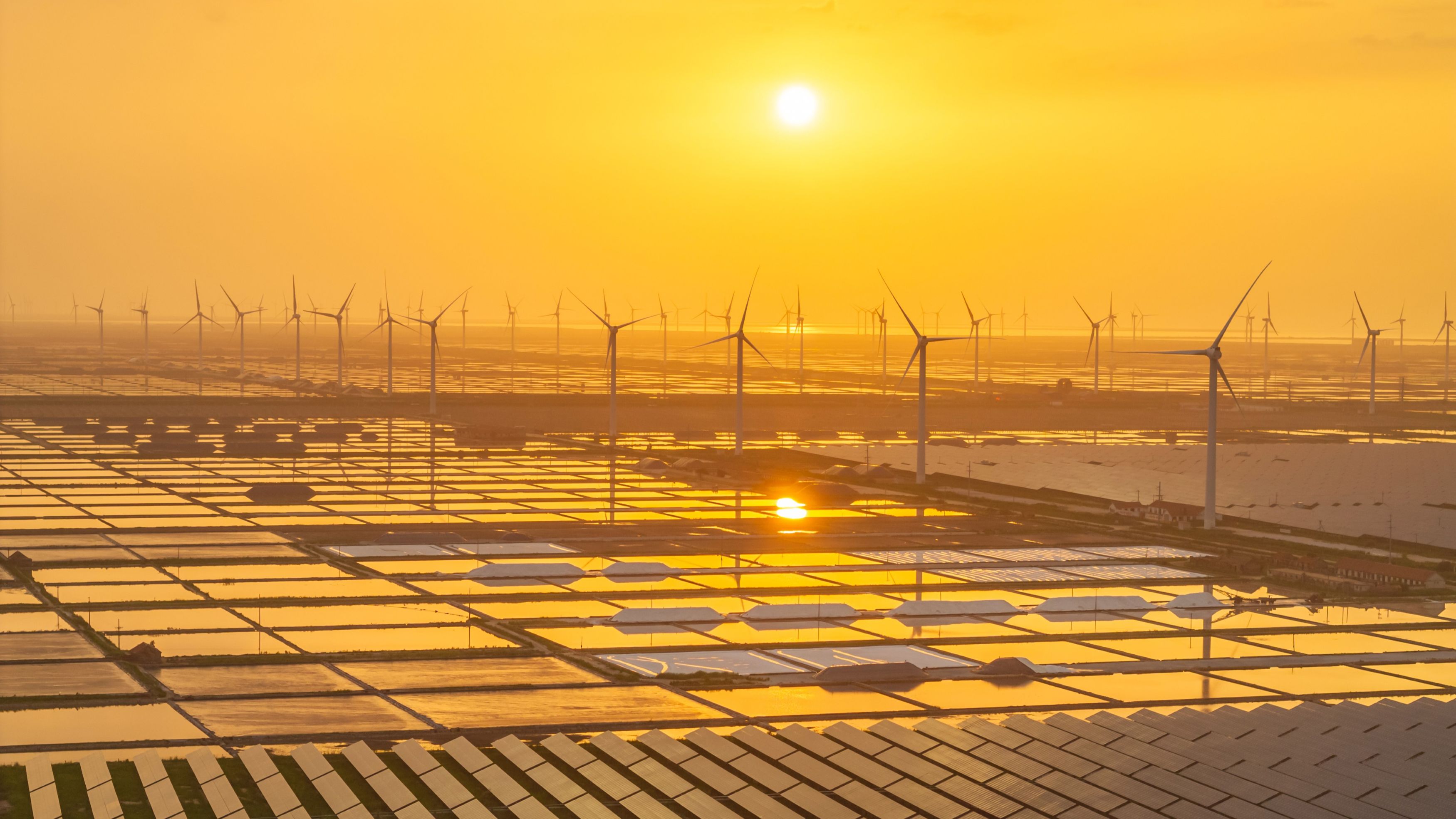 a huge renewable energy farm in China at sunset