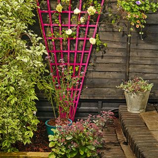 garden area with pink trellis and flower plants