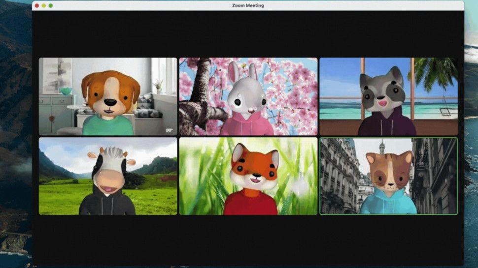 Zoom avatars