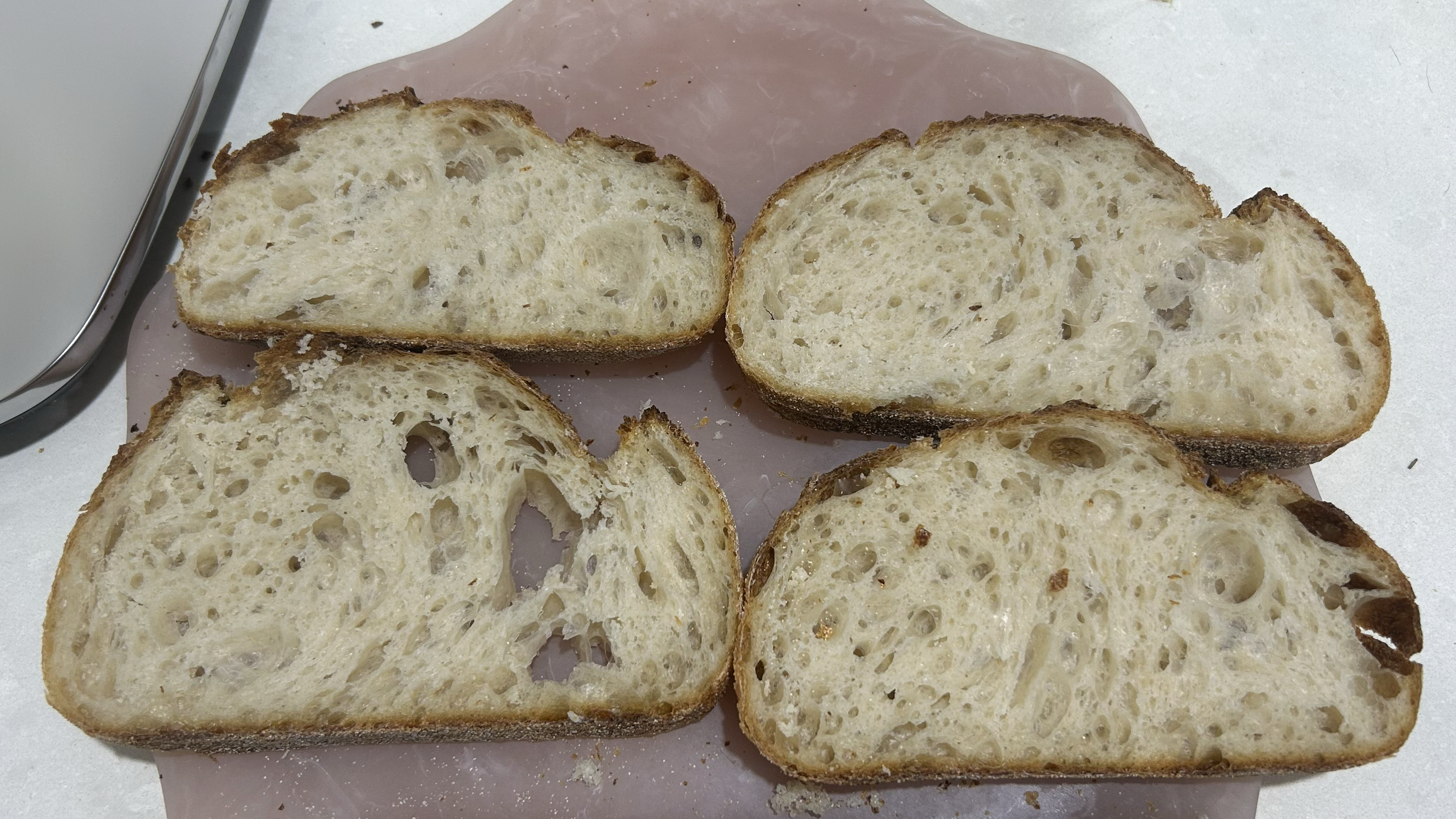 Sourdough bread on pink plate, untoasted