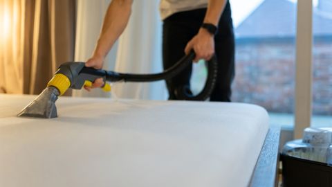 How To Clean A Mattress And Get Rid Of Bed Bugs, Urine And Stains ...