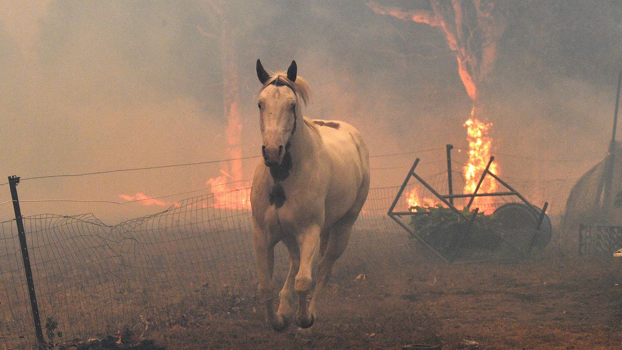 australia_bushfire-1191120340_cropped.jpg