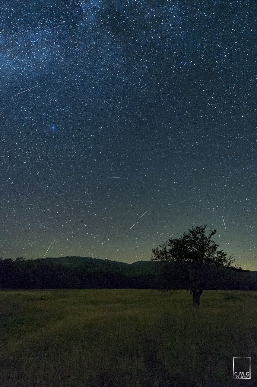Stargazers Rejoice! Perseid Meteor Shower Promises An Unforgettable Show - zsjq7ji