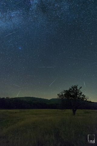 'Nature's Fireworks' by Christopher M. Georgia