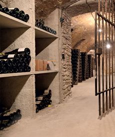 Champagne cellar