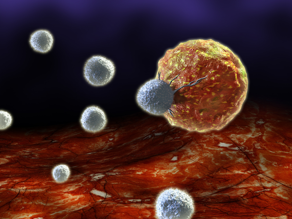 New Knowledge Into How Immune Cells Are Framed