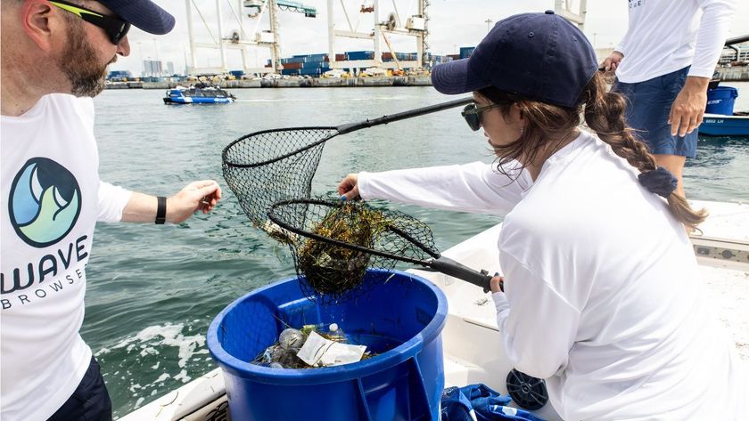 A team from Wave Browser works to clean up the ocean.