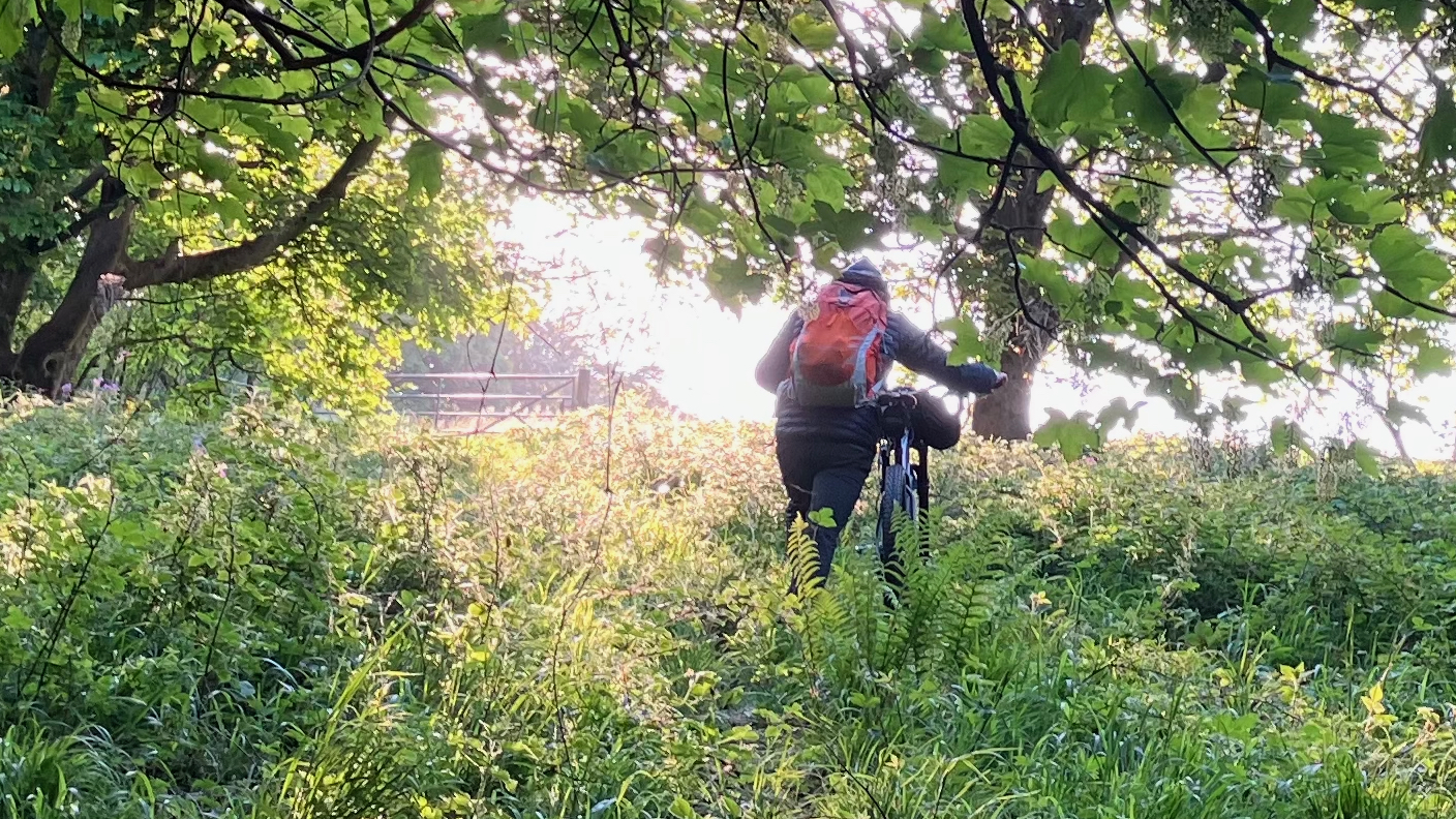 Man pushing bike through trees in sunlight
