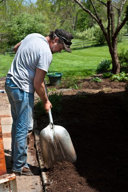 Man Spreading Mulch In Garden Area With Shovel