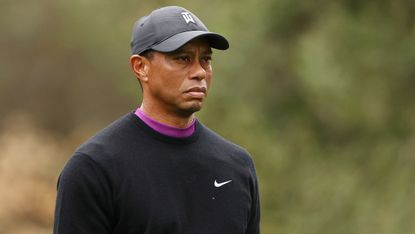 Tiger Woods headshot