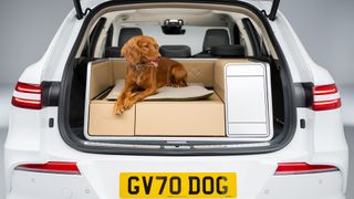 Your dog's favorite EV – this car's modular trunk has a power shower, heated bed and hairdryer to turn it into a pooch palace