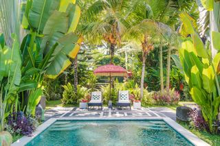 Whitney parasol from east london parasol company near pool for tropical garden ideas
