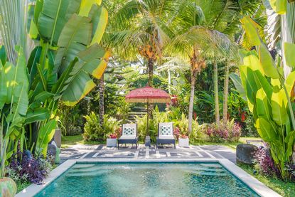 Tropical garden ideas: 16 ways to transform your backyard into an ...