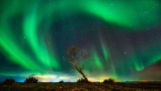 Northern lights over alone tree in night scene, songkhla, Thailand