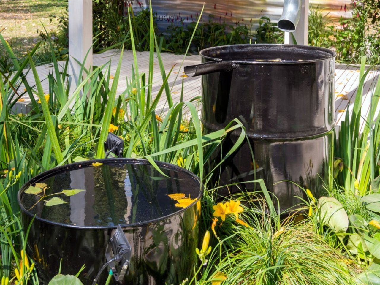 Rain Barrels In The Garden