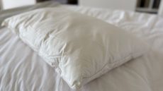 Soak & Sleep New Zealand Wool Pillow